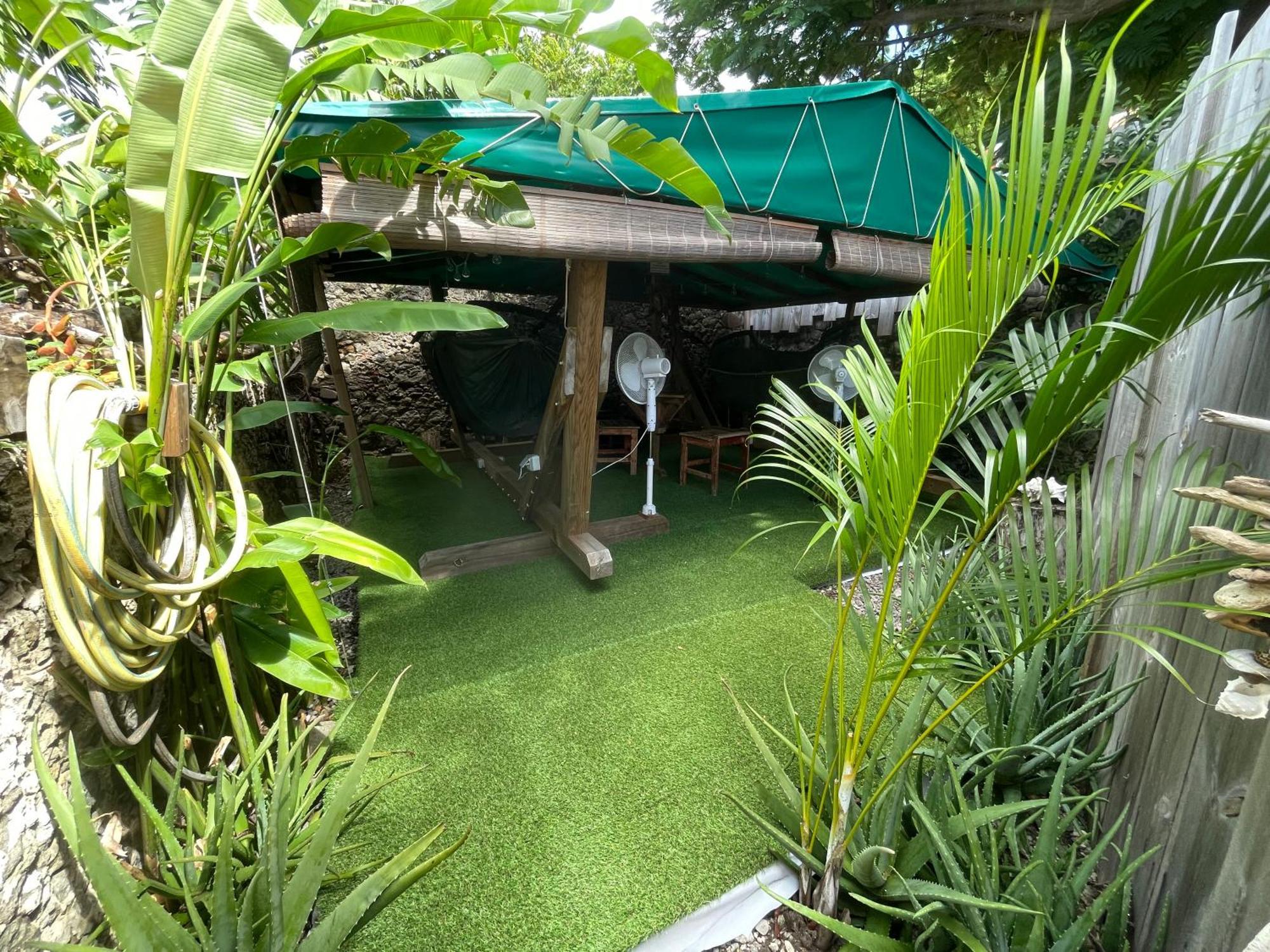 Les Hamacs Aux Saintes Hotel Terre-De-Haut ภายนอก รูปภาพ